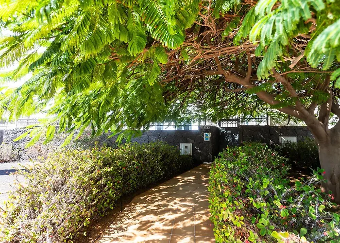 Marina Rubicon Number 1 Playa Blanca (Lanzarote)