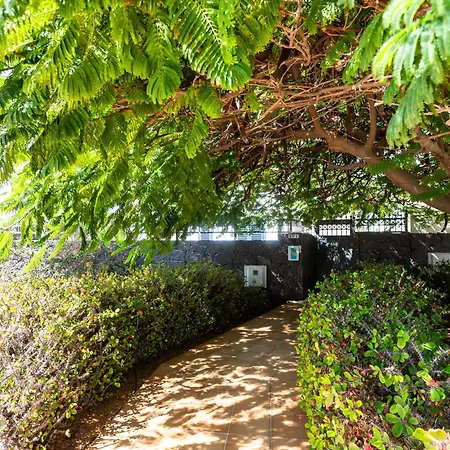 Marina Rubicon Number 1 Коста Бланка